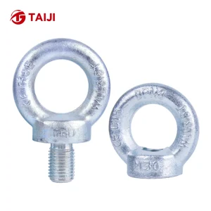 Stainless Steel Galvanized M1-M40 Ring Bolts for Lifting Applications