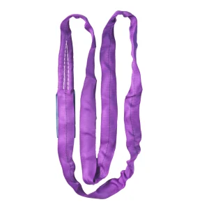 Wholesale Custom Oem Heavy 3ton Polyester Flexible Endless Lifting Strap China Custom Webbing Sling